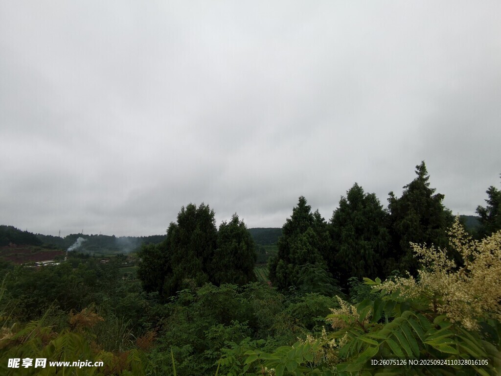 云雾山林景
