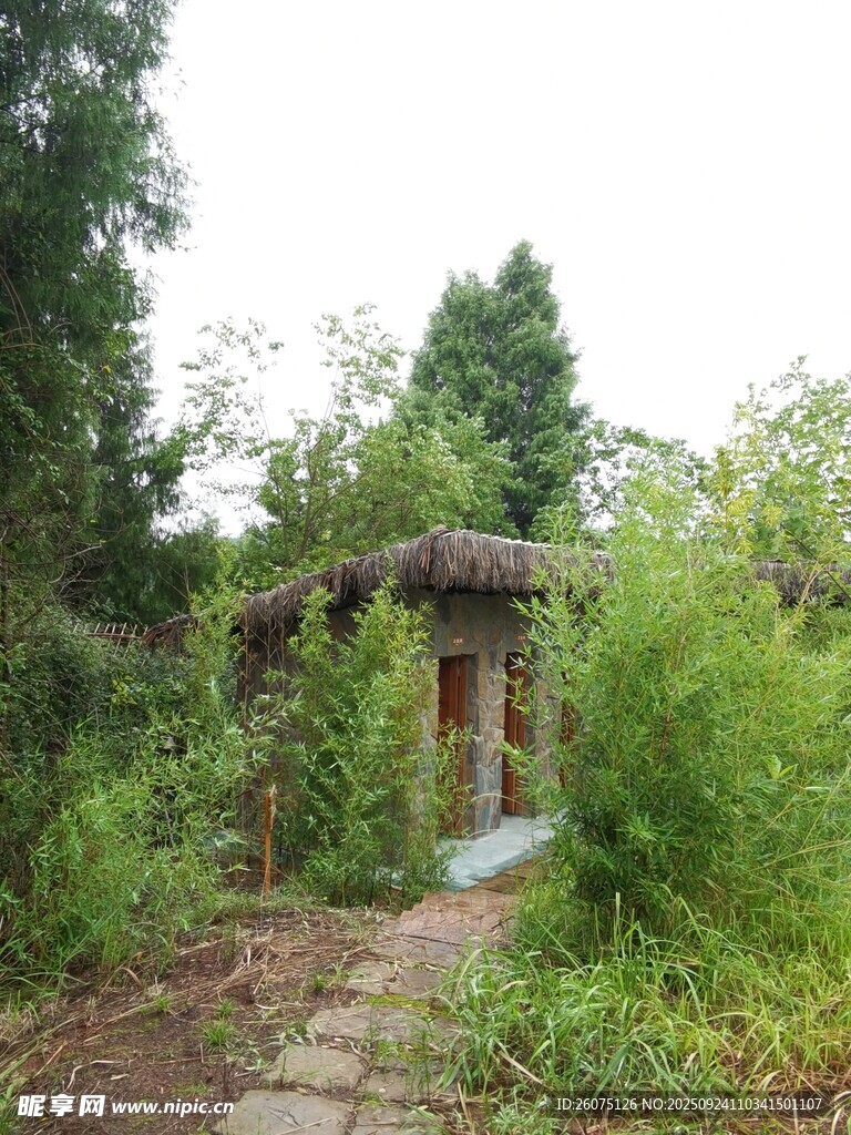 林间小屋隐于葱郁草木间