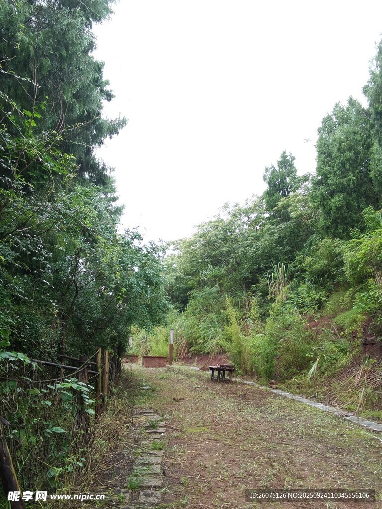 山间幽静小道绿意盎然