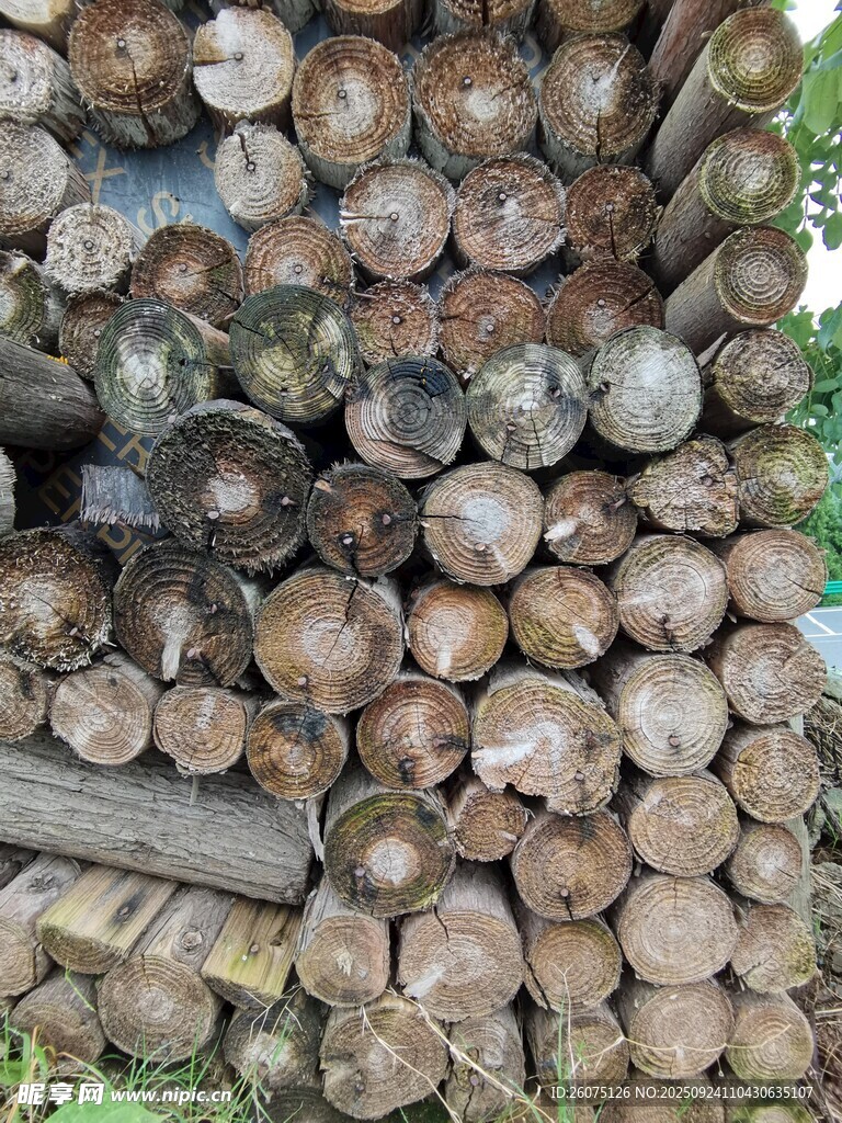 堆积的木材