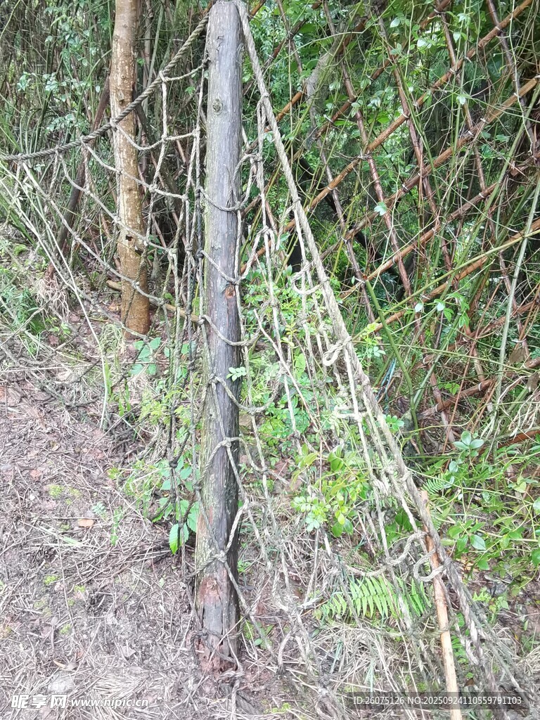 野外简易植物攀爬支架