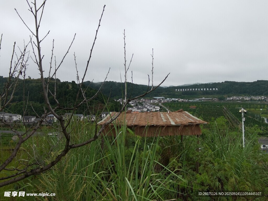 乡村草间木屋远景