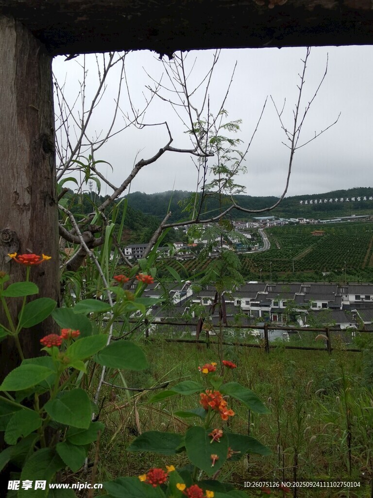窗外绿植与远景风景