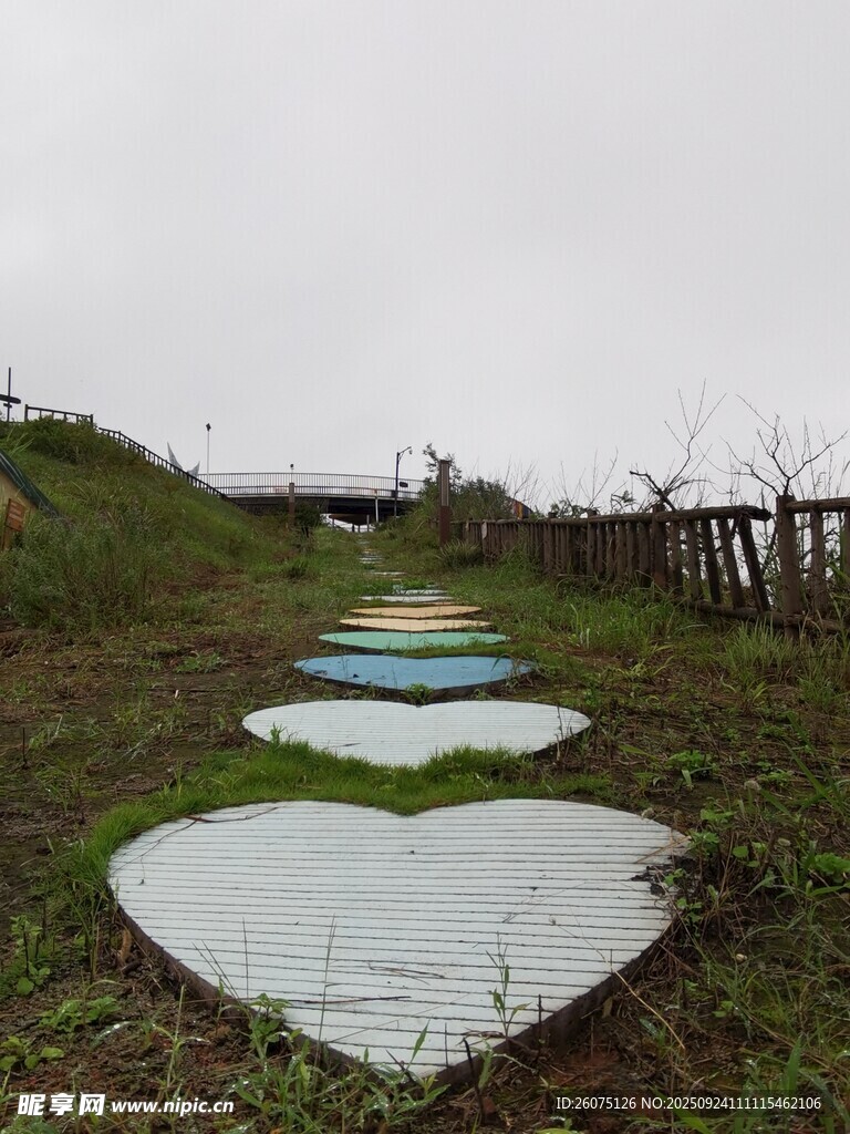 田野中的爱心形彩色地画