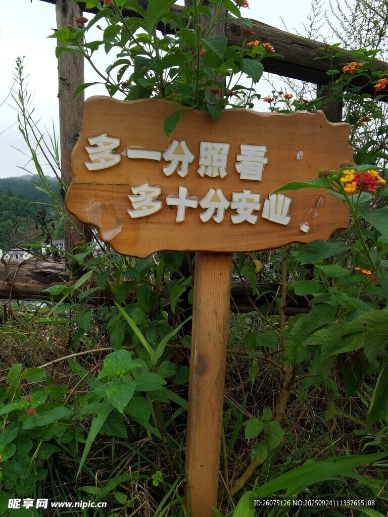 森林中的温馨环保提示牌