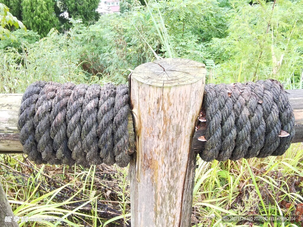 木桩上缠绕的粗绳