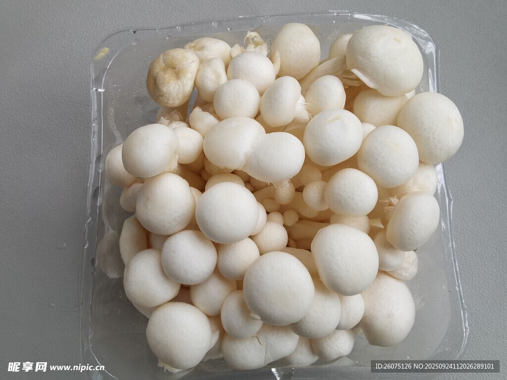 盒装白玉菇