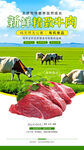 新鲜牛肉