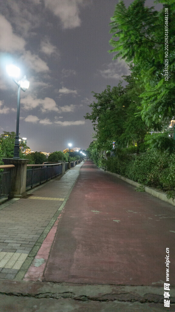 夜晚河畔的静谧步道