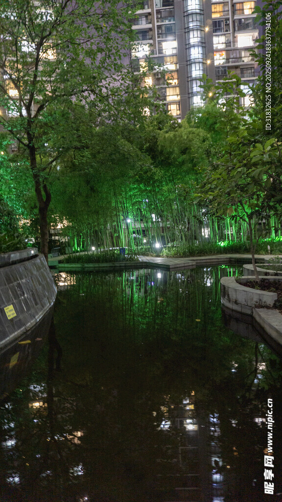 城市河畔夜景 灯光映绿水