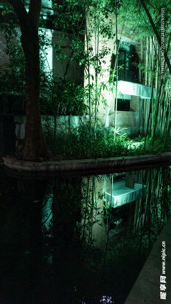 夜晚林间的静谧水景