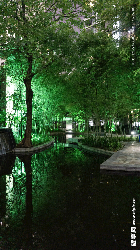 静谧绿林倒影水景