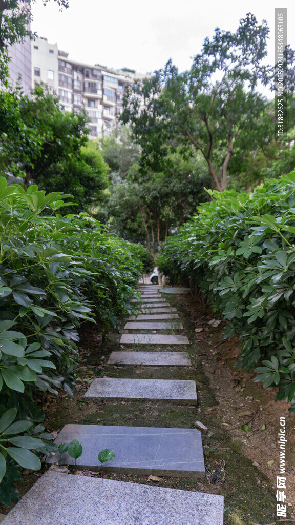 幽静石板小径 绿植环绕