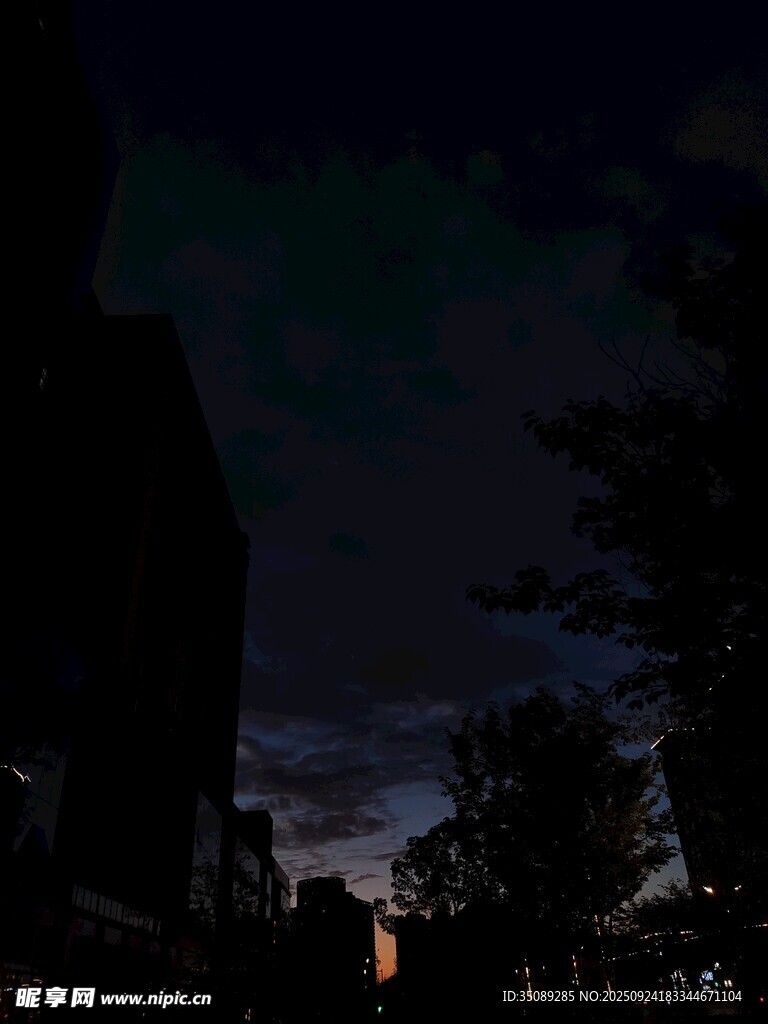 夜幕下的城市与树木景观