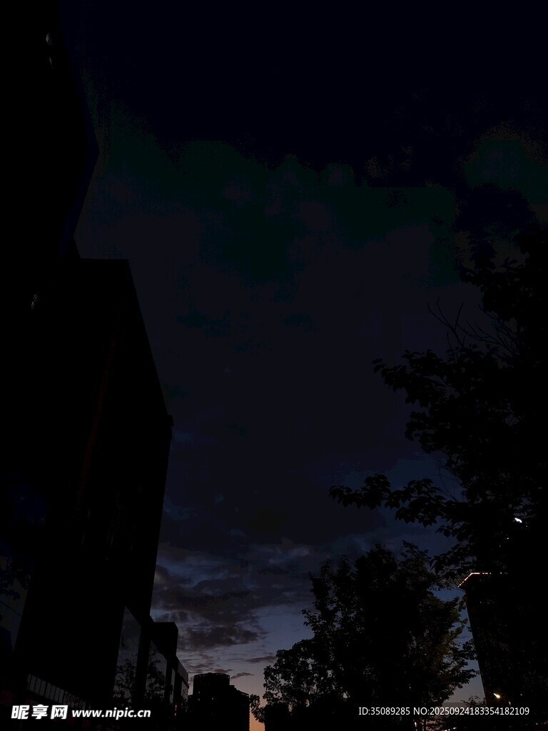 夜幕下的城市与树木景观