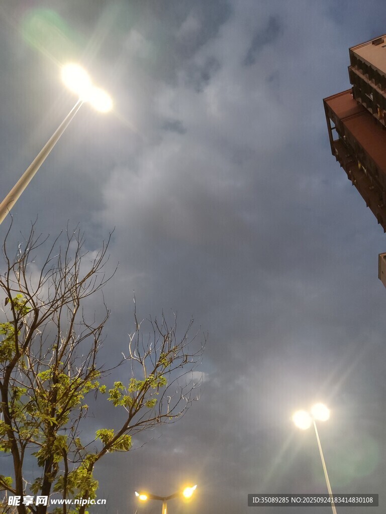 夜幕下的城市灯光与树木