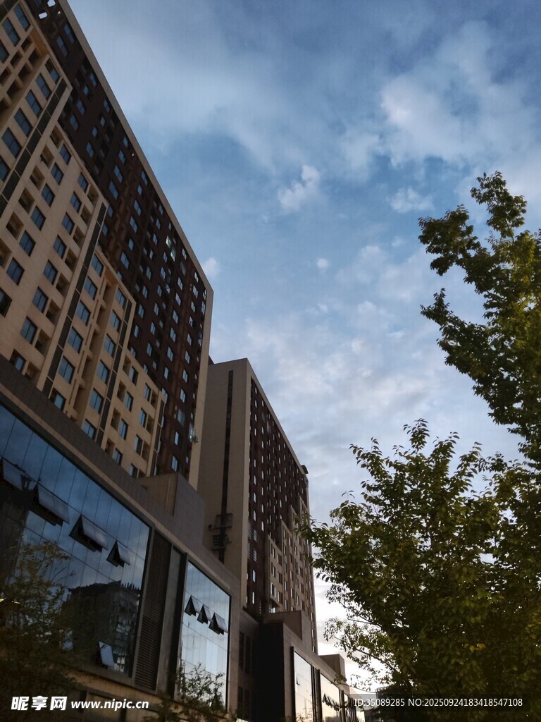 城市高楼与绿树相映成趣