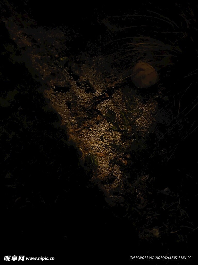 黑暗中的神秘地面景象