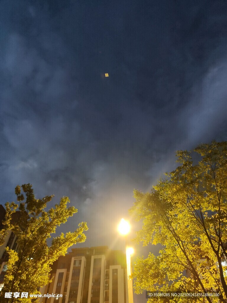 夜晚路灯下的树木与星空