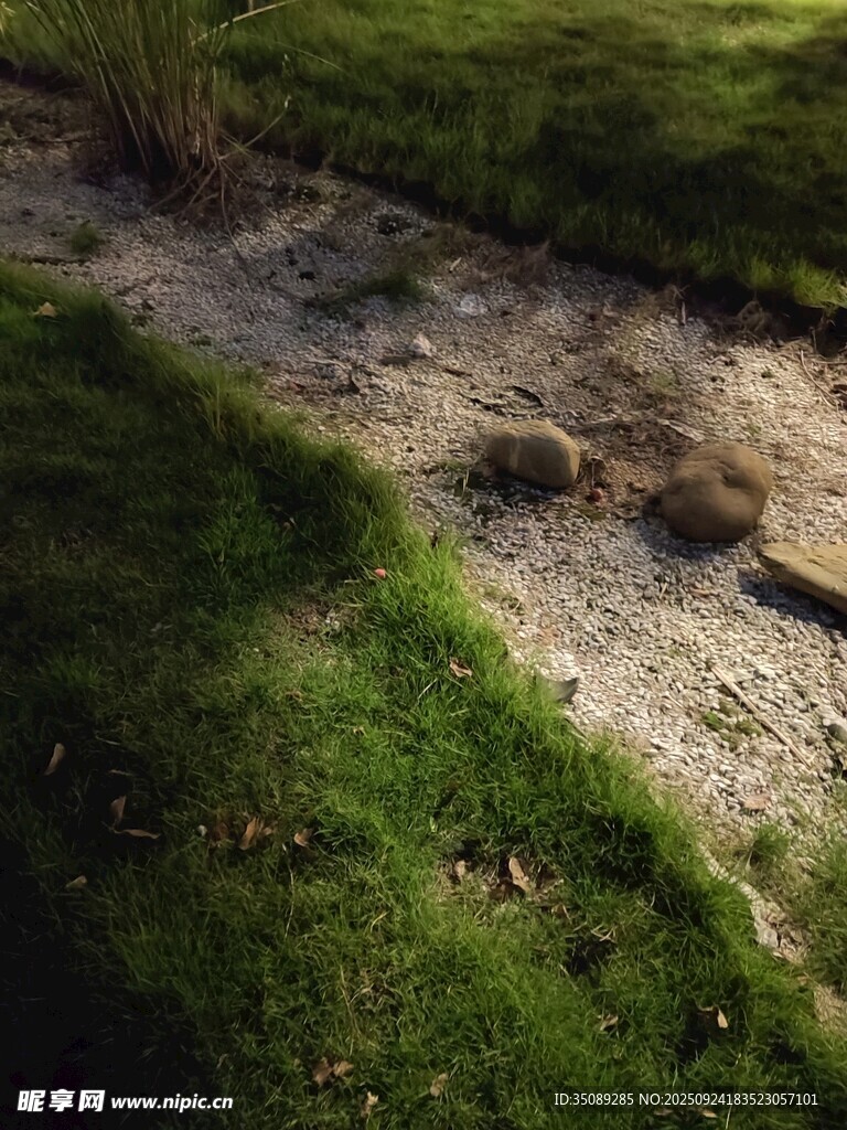 草地间的碎石小径