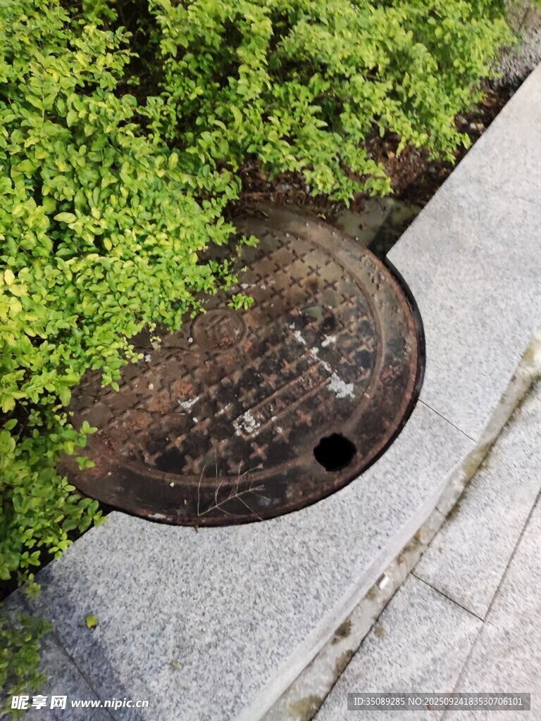 路边绿植旁的复古井盖