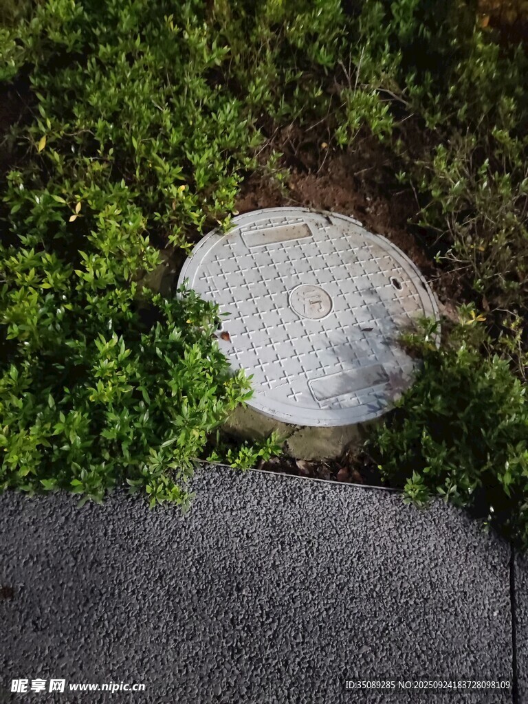 石畔绿植自然静谧之景