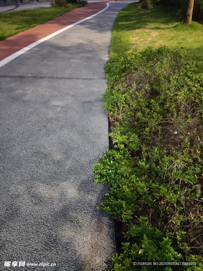路边绿植与灰色步道