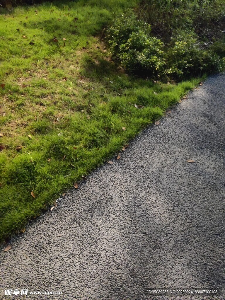 蜿蜒小路旁的翠绿草地