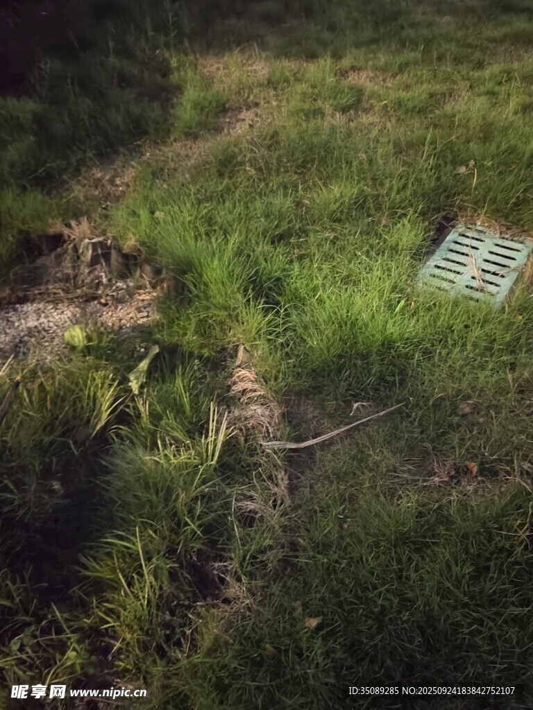 草地中的金属格栅装置