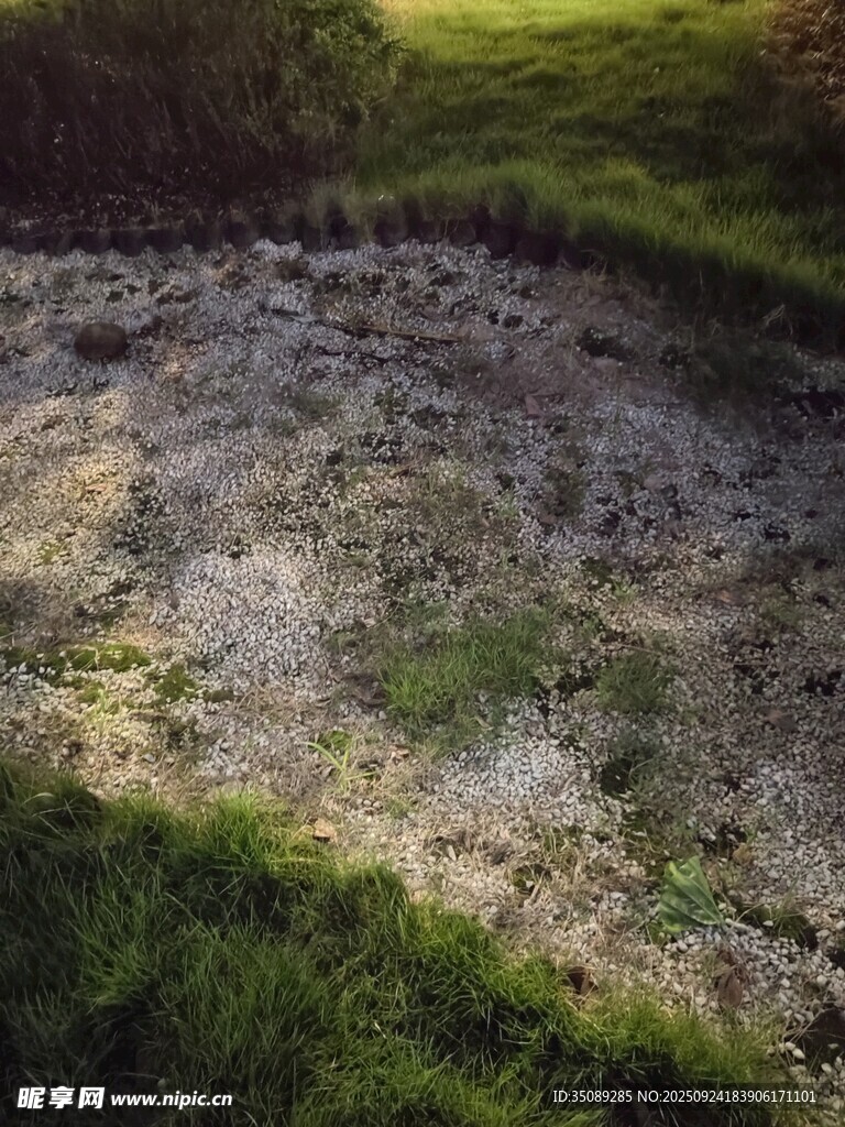 草地中的泥洼景观
