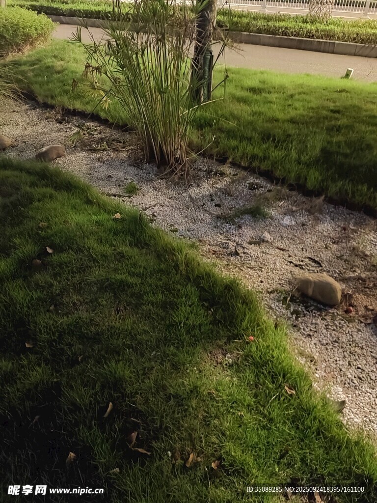 户外草地旁的泥土小径