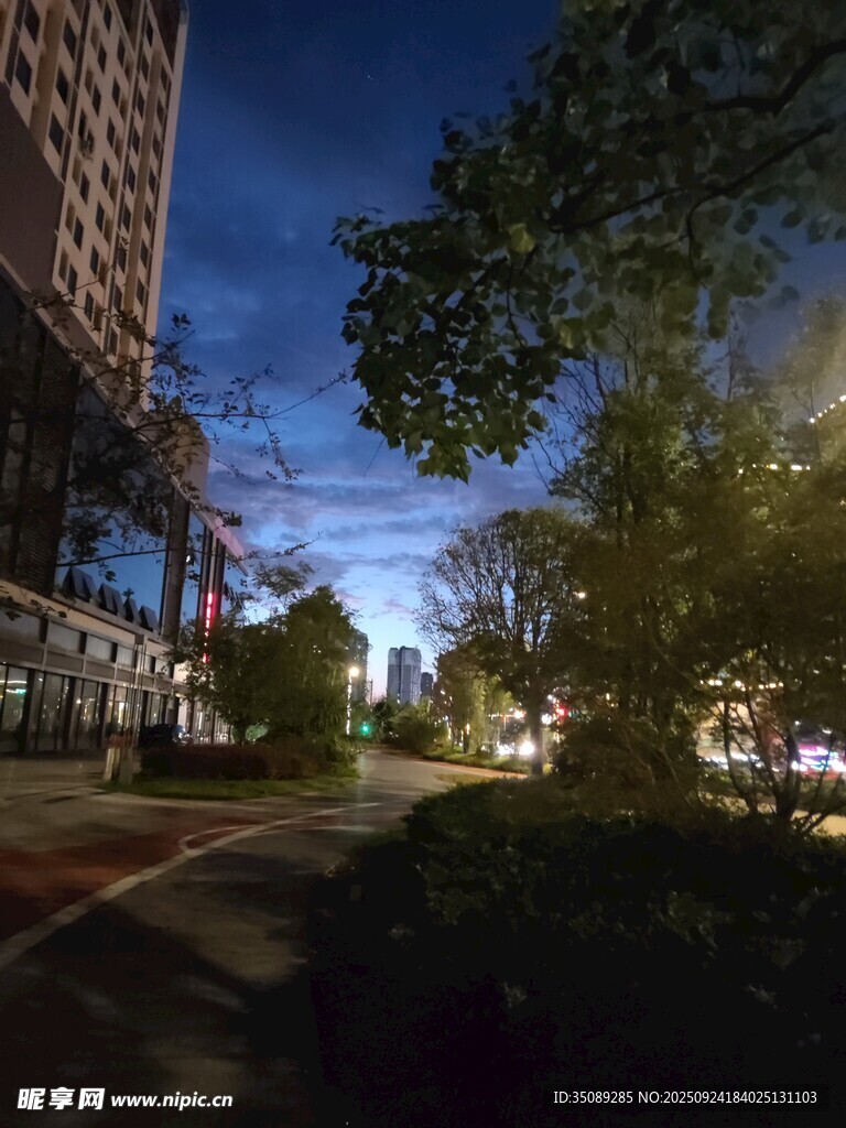 城市夜晚街道的静谧景象