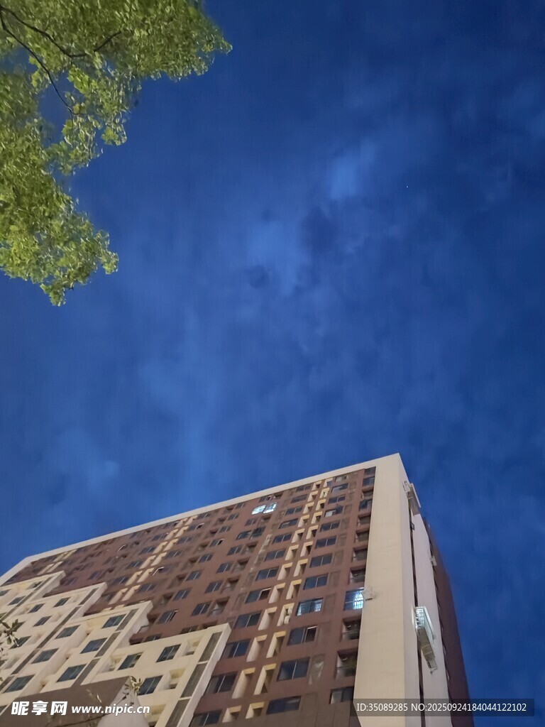 仰视高楼与蓝天绿树