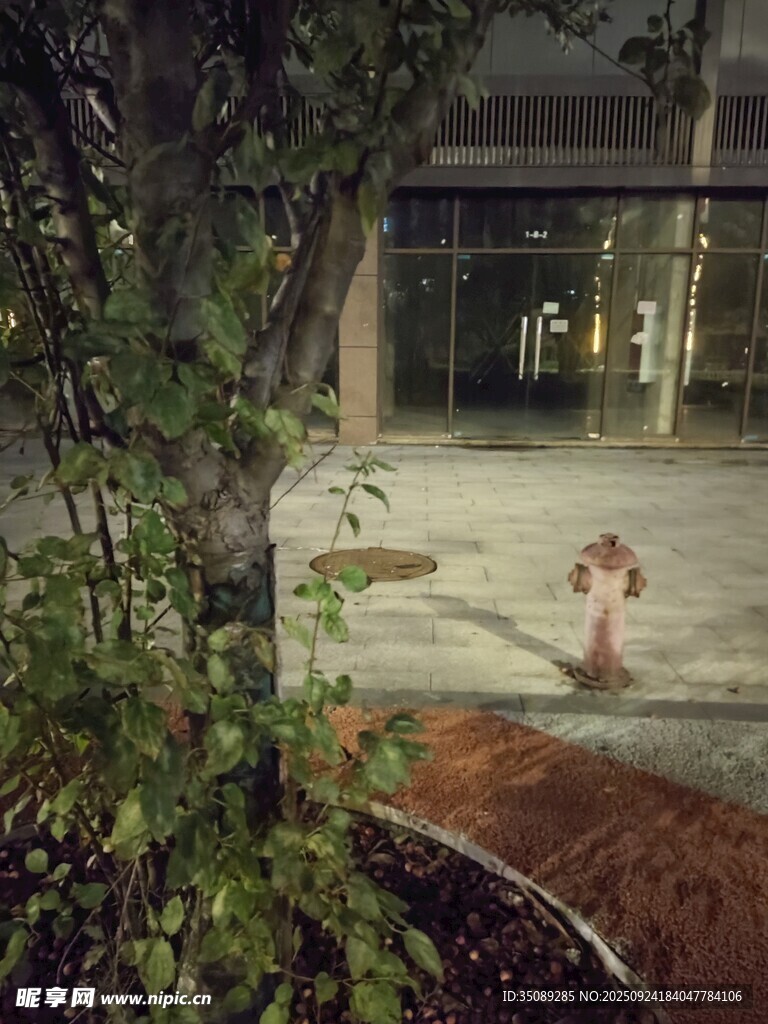 户外绿植旁的红色消防栓