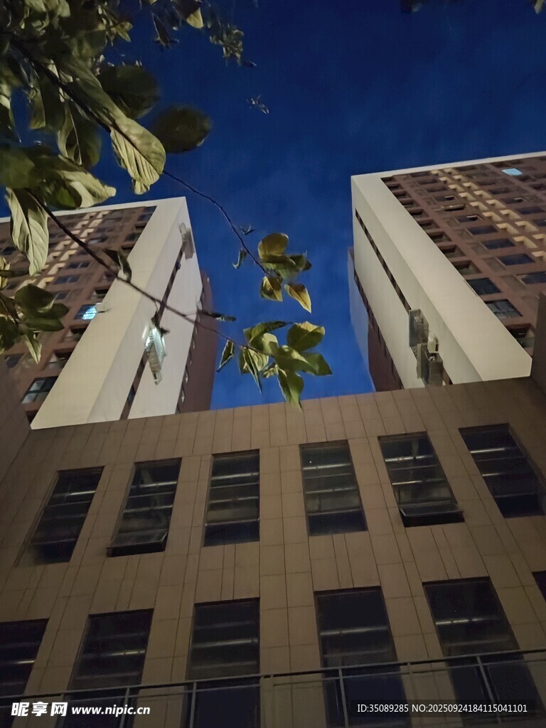 仰视高楼间的绿植景观