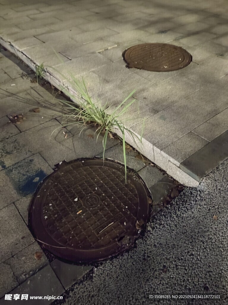 路边的井盖与生长的小草