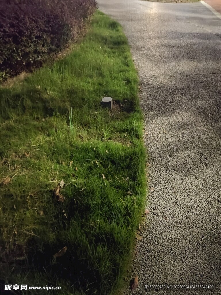 路边翠绿草坪与灰色路面