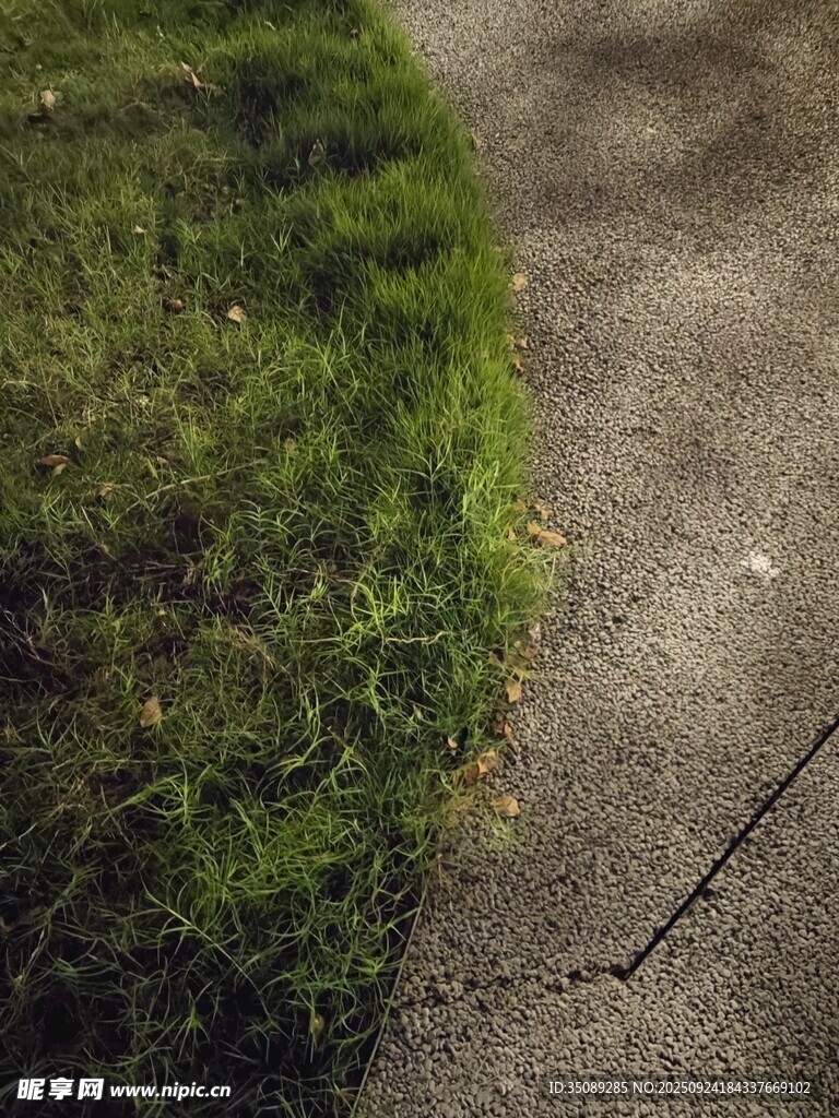 路边翠绿草地与开裂路面