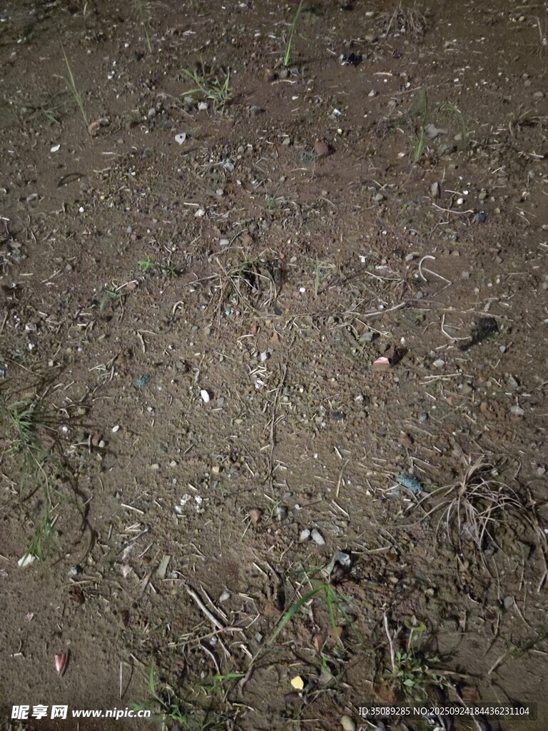 地面泥土景象