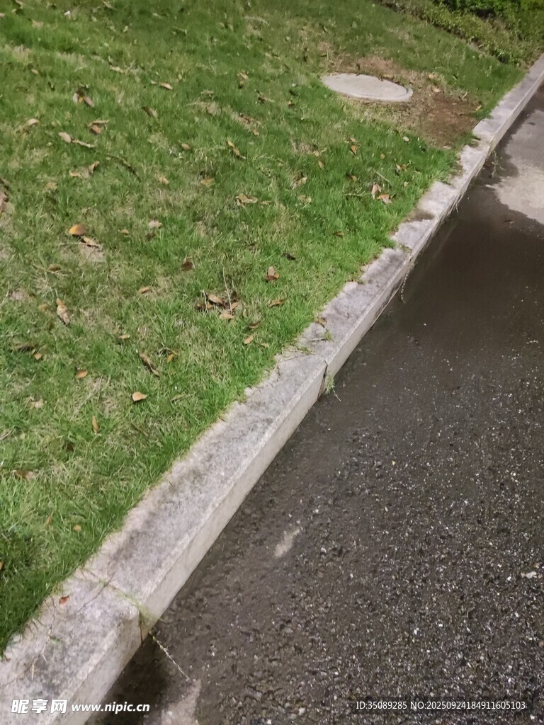 路边草地与水泥边界