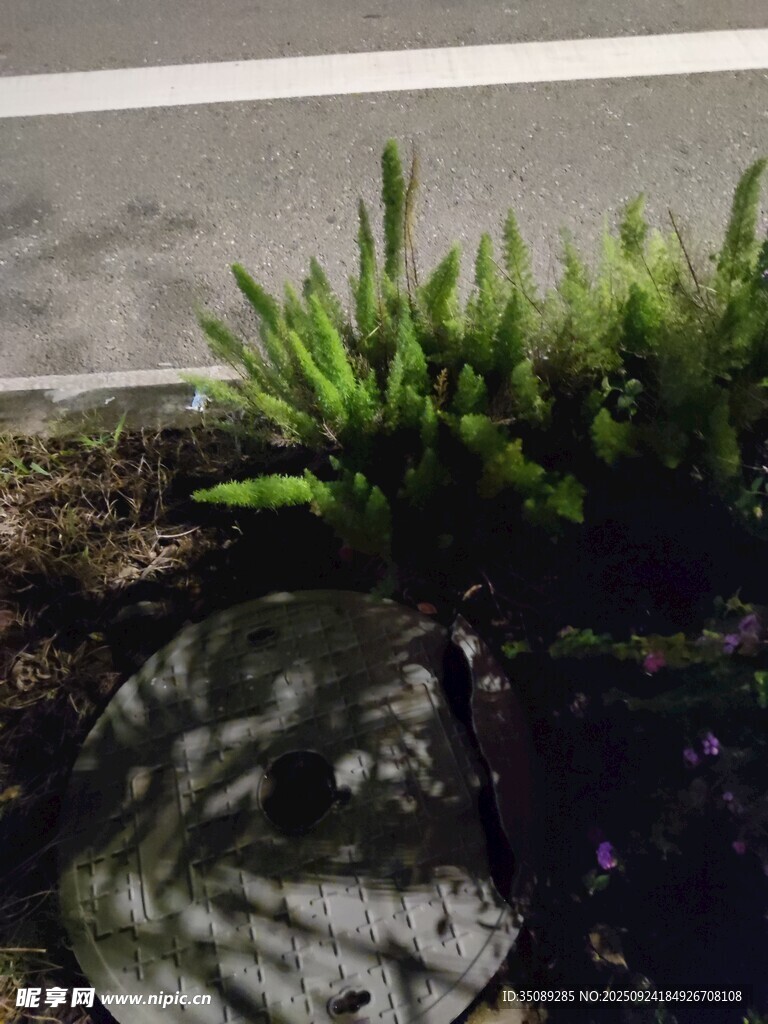 路边绿植与圆形物件景观
