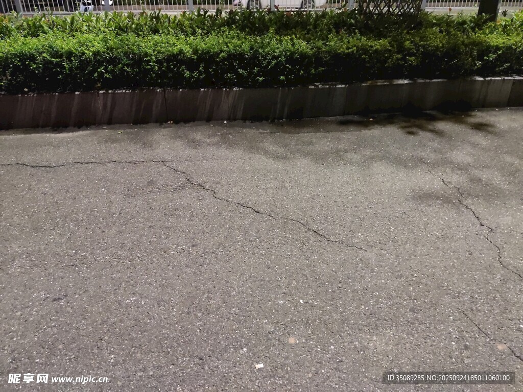 户外水泥路面及绿植景观