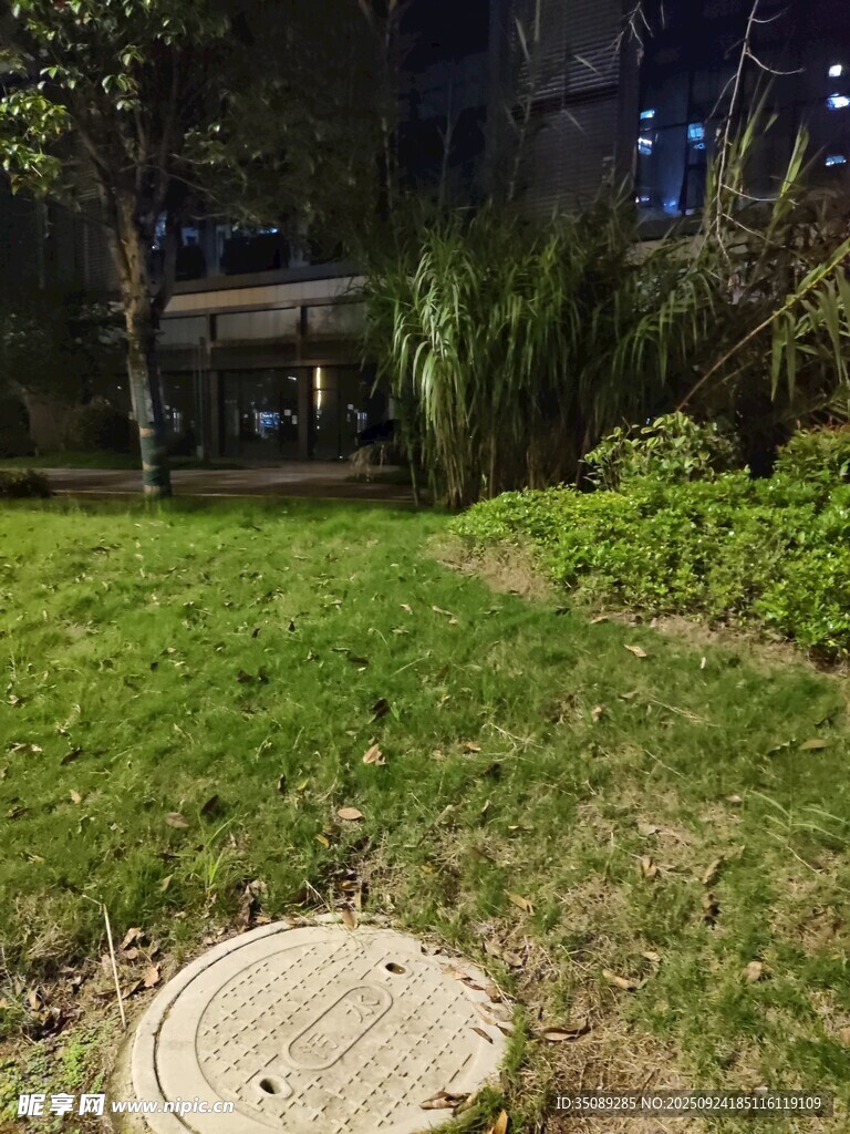 夜晚小区中的绿地景观