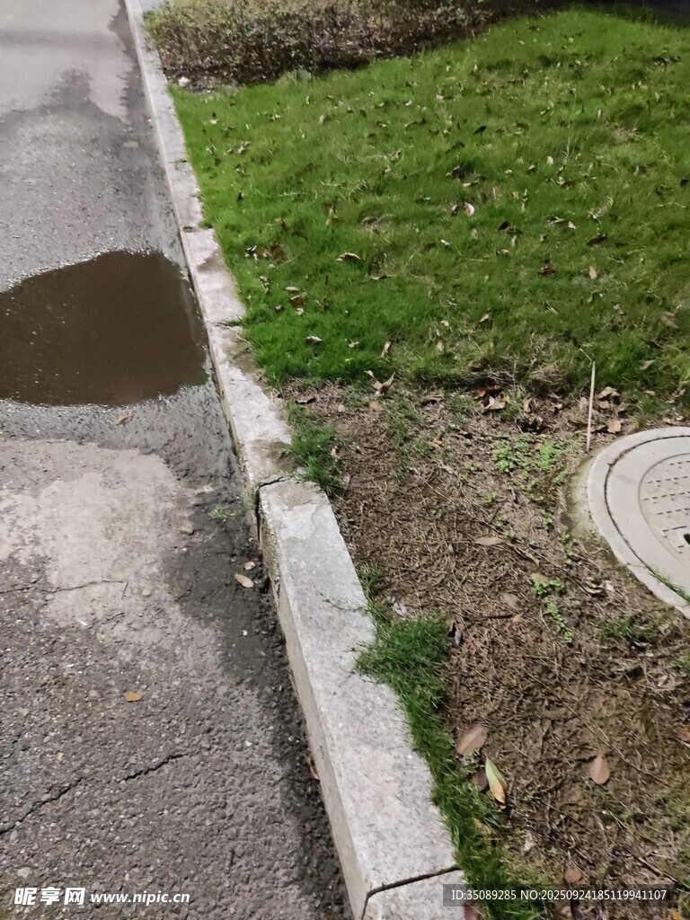 路边积水与草地场景