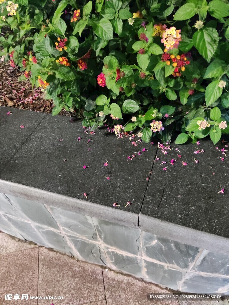 路边绿植与砖砌花坛