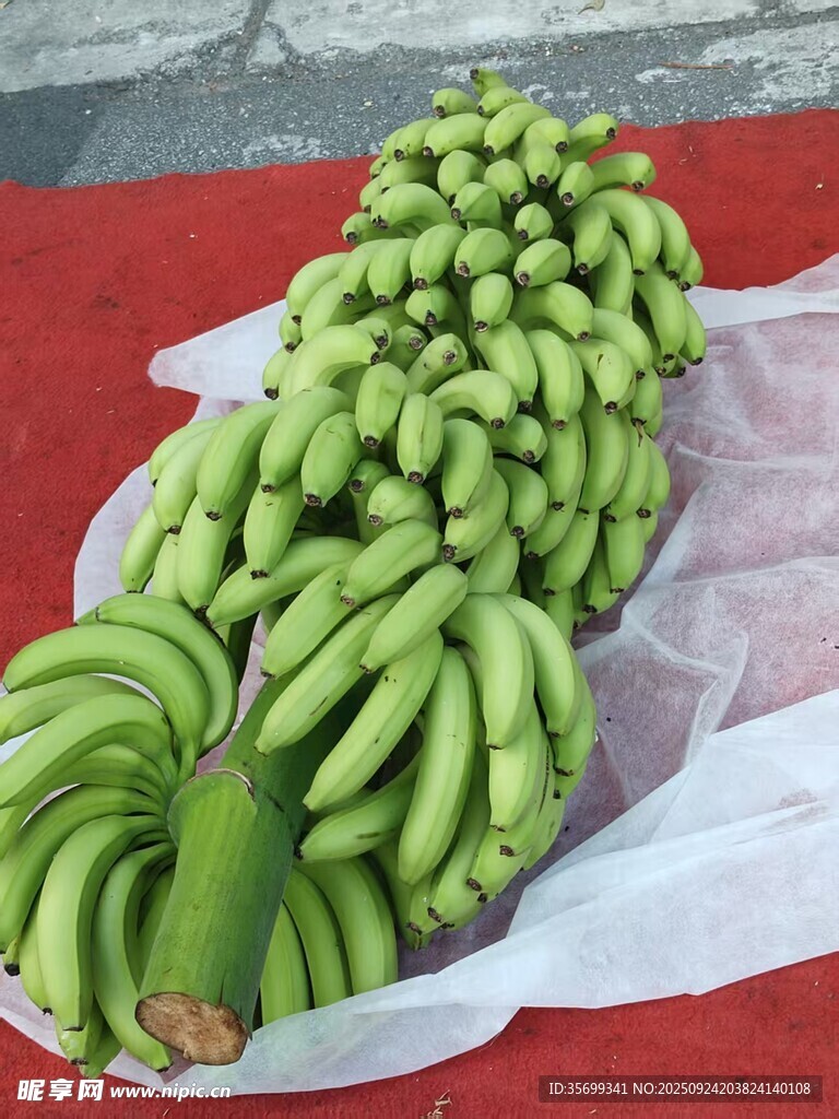 新鲜青绿香蕉成串摆放