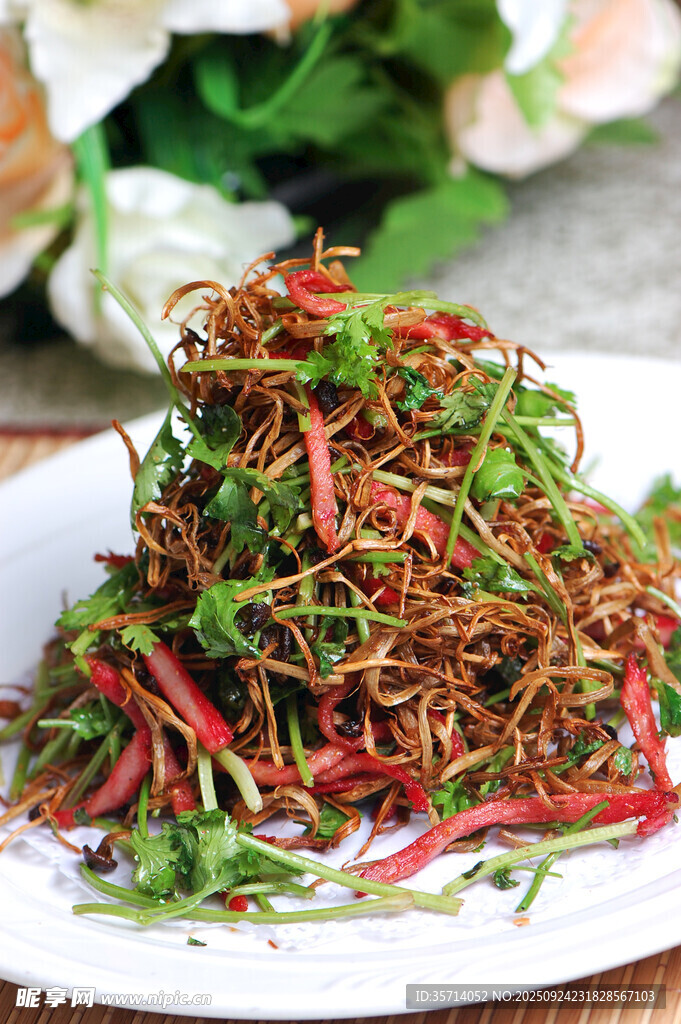 茶树菇