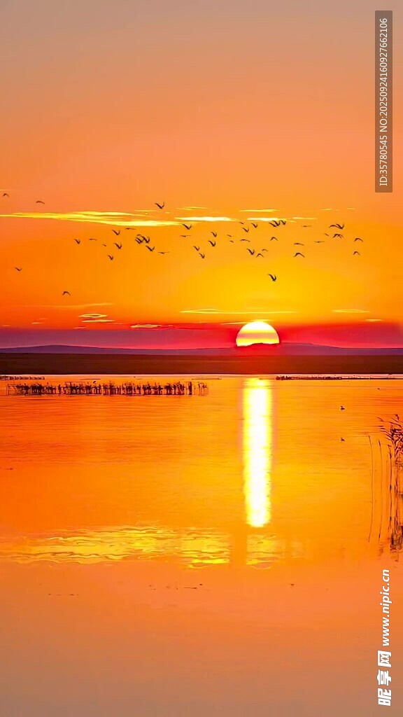 夕阳下的静谧水面美景