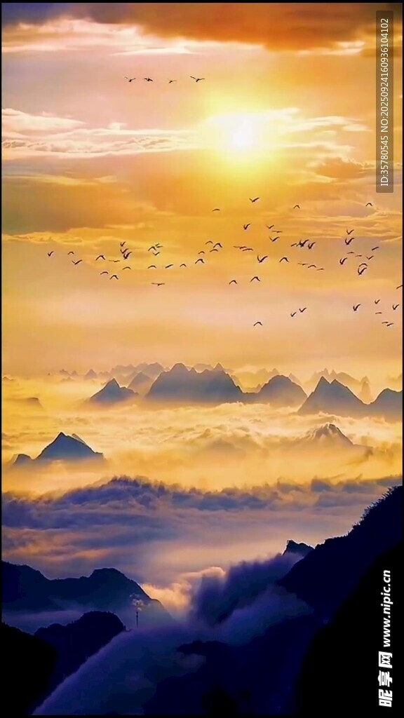 日出群山飞鸟壮丽景观