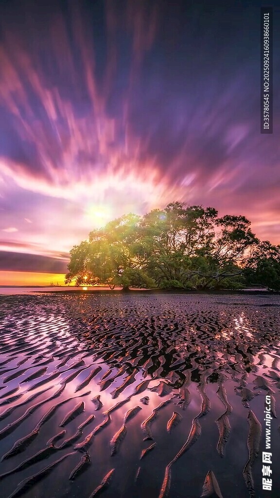 梦幻海岸的绚丽日落景观